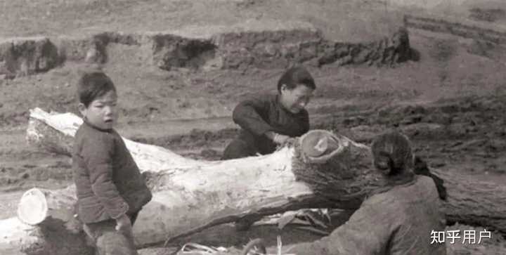 古代饥荒,为什么百姓宁愿吃草根、啃树皮,也不去抓河里的鱼虾? - 知乎