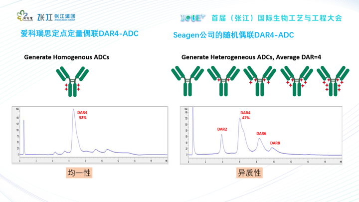 什么是双抗 ADC 药物? - 知乎