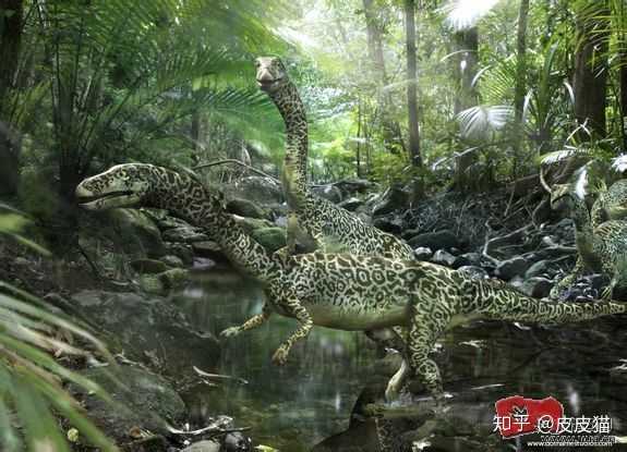 为什么恐龙的祖先都是二足行走,而哺乳动物的祖先都是四足行走?