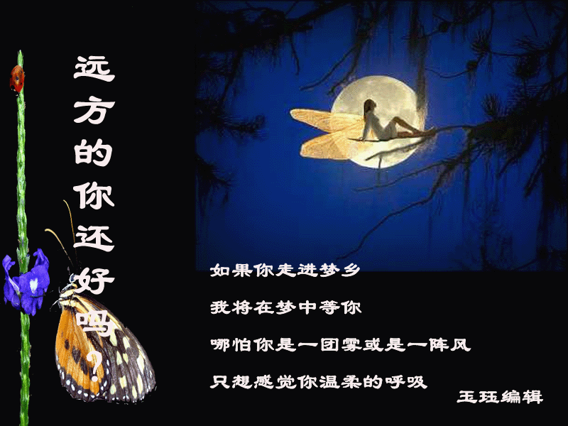 春意看盘 的想法: 散文:远方的你 | 在这个瞬息万变的世界里,我们都是