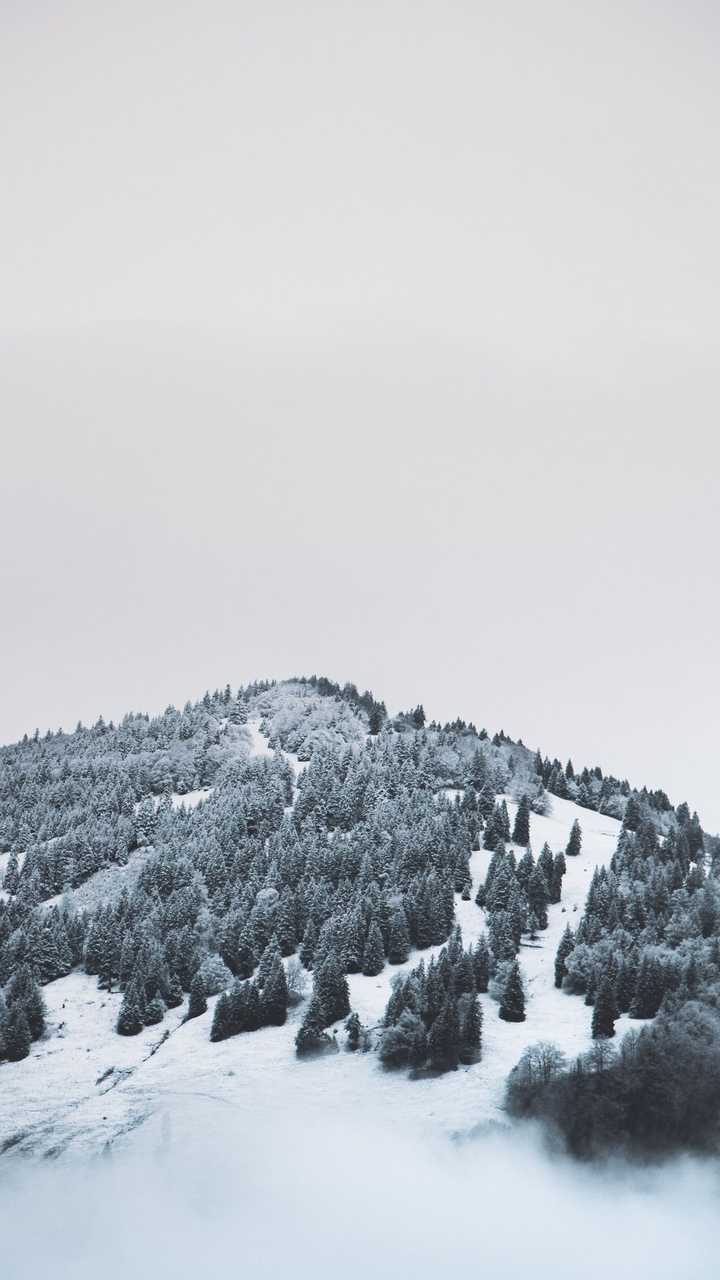 有哪些逼格很高的手机壁纸 知乎