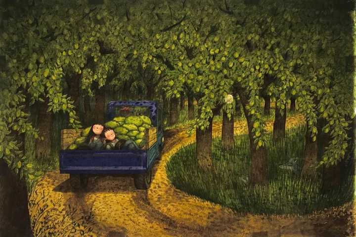 关于几米漫画,你有哪些想分享的?