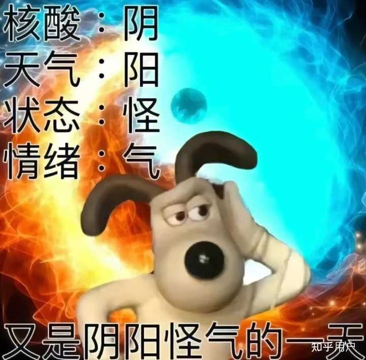 友友们,有没有发疯发癫的表情包? - 知乎