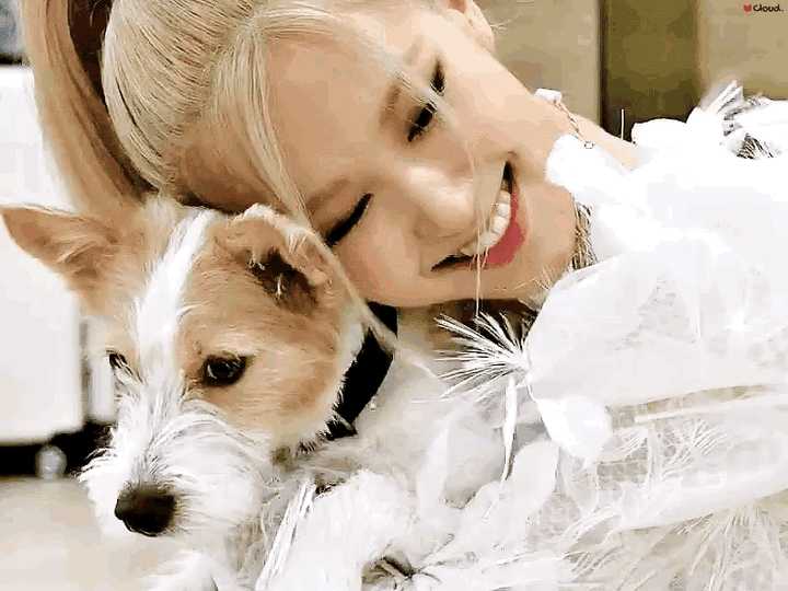 有没有集美能发一下朴彩英的绝美动图吗 ? - 知乎