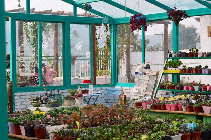 怎样在院子里建一个玻璃花房 知乎