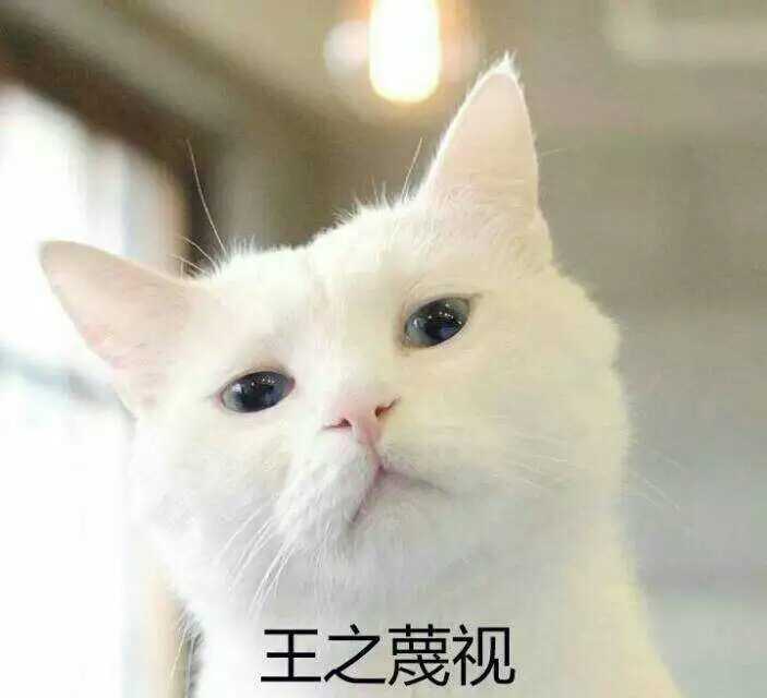 日本有什么提到猫的古籍 知乎