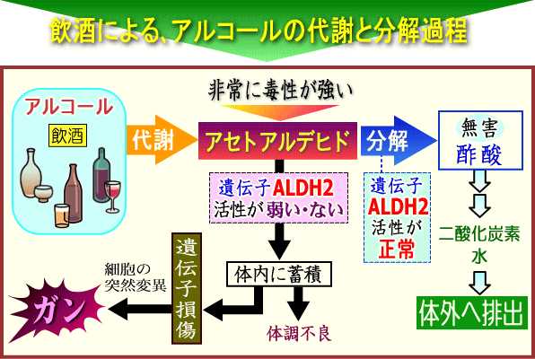 宿醉如何处理 知乎