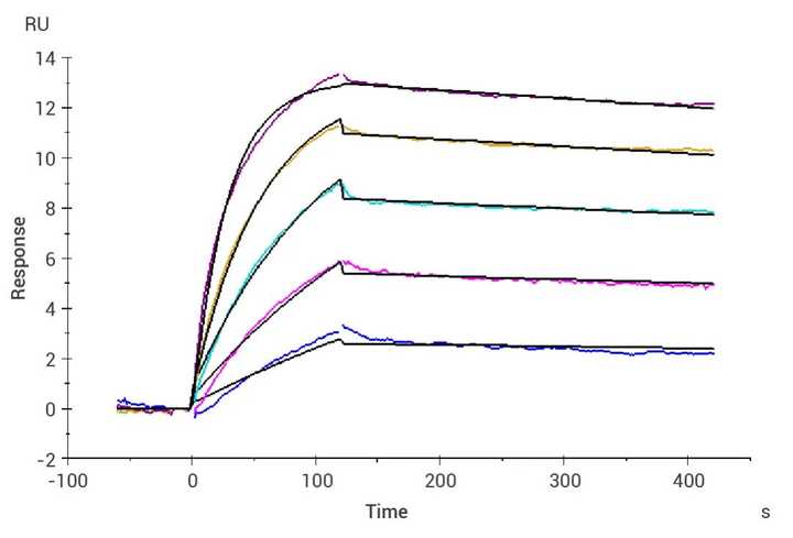 SPR技术原理是什么？ - 知乎
