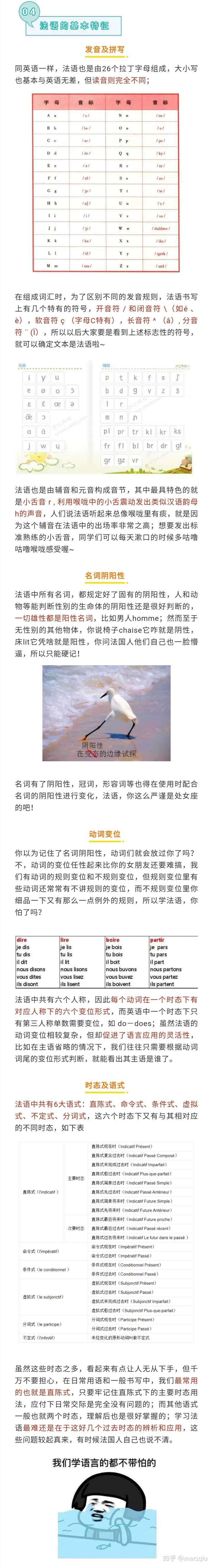 学法语比学英语难吗 知乎