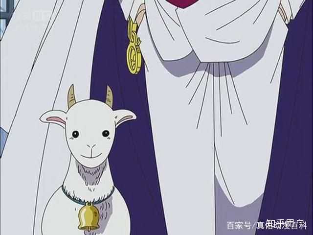 谁是《海贼王》中隐藏最深的终极伪君子大反派 boss？ - 知乎