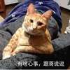 龚翔易