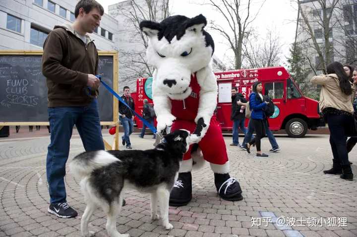 在东北大学 Northeastern University 就读是怎样的体验 知乎 在东北大学 Northeastern University 就读是怎样的体验 知乎