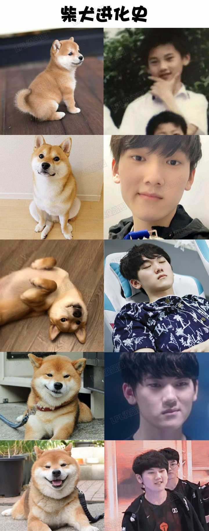 s10小组赛tes10uol小组赛首轮三战全胜你有什么想说的