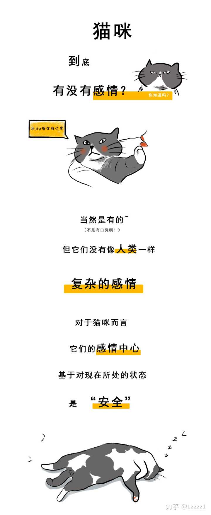 猫有感情吗 知乎 猫有感情吗 知乎