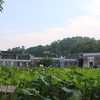 潇湘建筑
