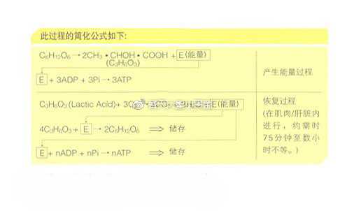 有氧运动和无氧运动有哪些区别 知乎