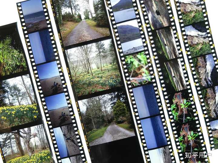 反转片入门 如何选择机器和胶片? - 知乎