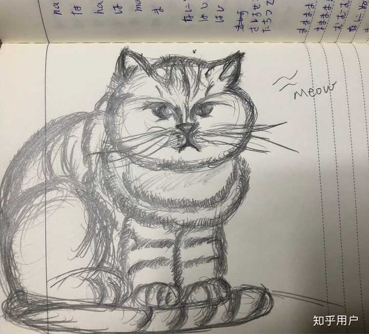 可以给我画一只猫咪吗?