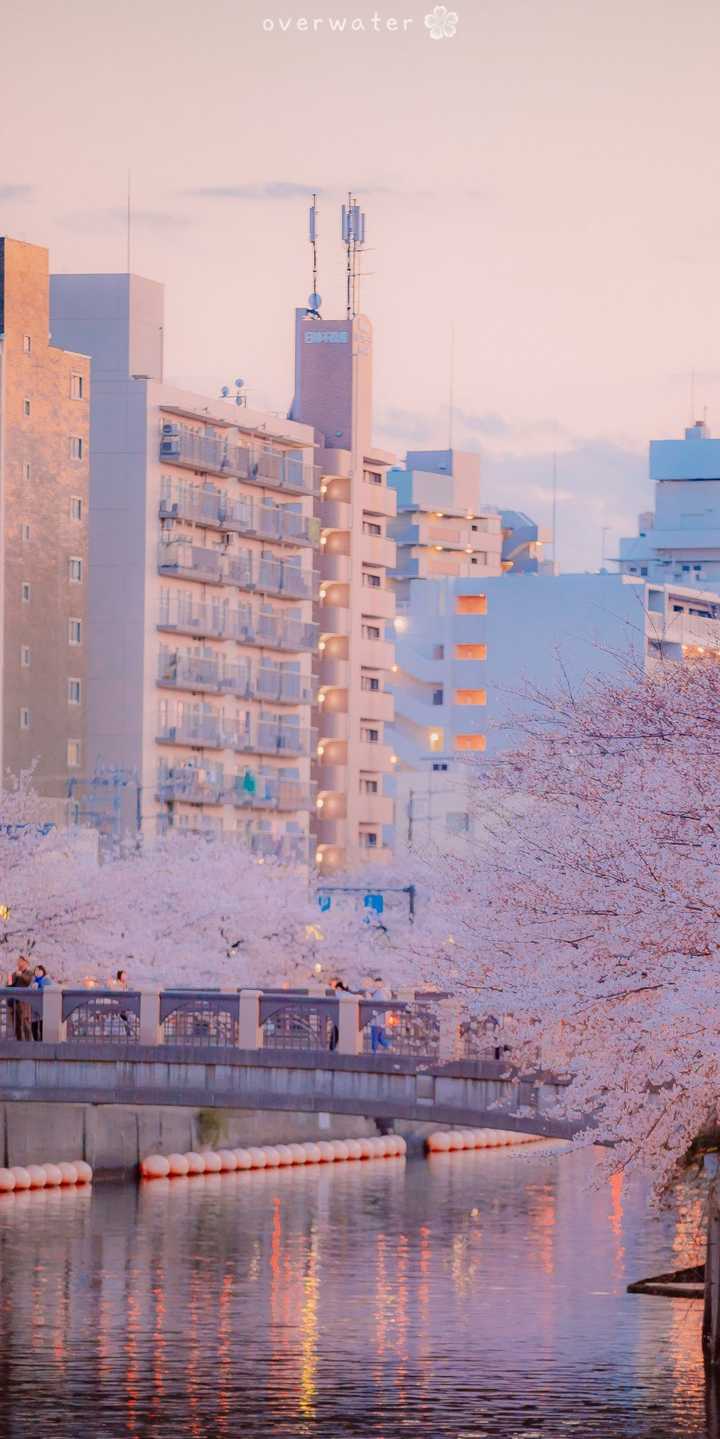 有哪些看起来希望满满的手机壁纸 心里暖暖的那种 太阳邮递员 1998 的回答 知乎