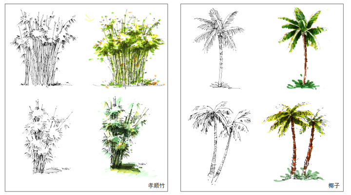 园林手绘树图片,树图片手绘,树图片风景图片(第10页)_大山谷图库