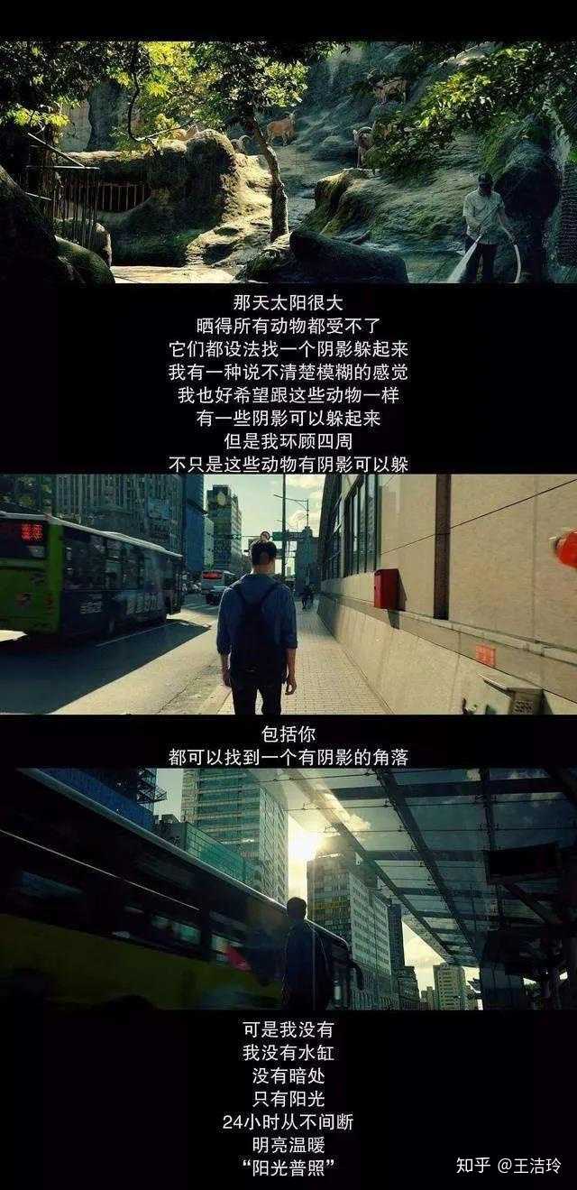 如果人类所能拥有的一切美好的品质都集中在一个人的身上,那么这个人