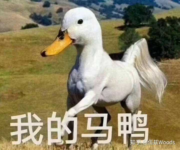 几个菜喝成这样