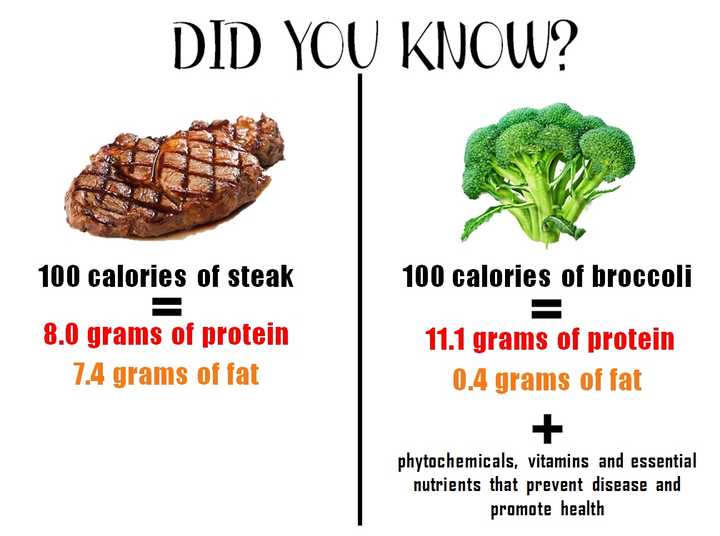 为什么健身的人喜欢吃西兰花 知乎