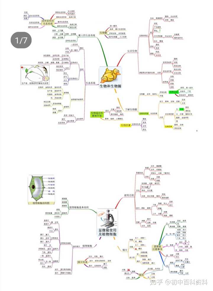 初中生物教案怎么写