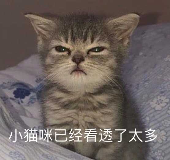 如果你穿成修仙文里的第一美人女配你会怎么样? - 知乎