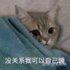 有没有让朋友圈人气暴涨的沙雕文案?