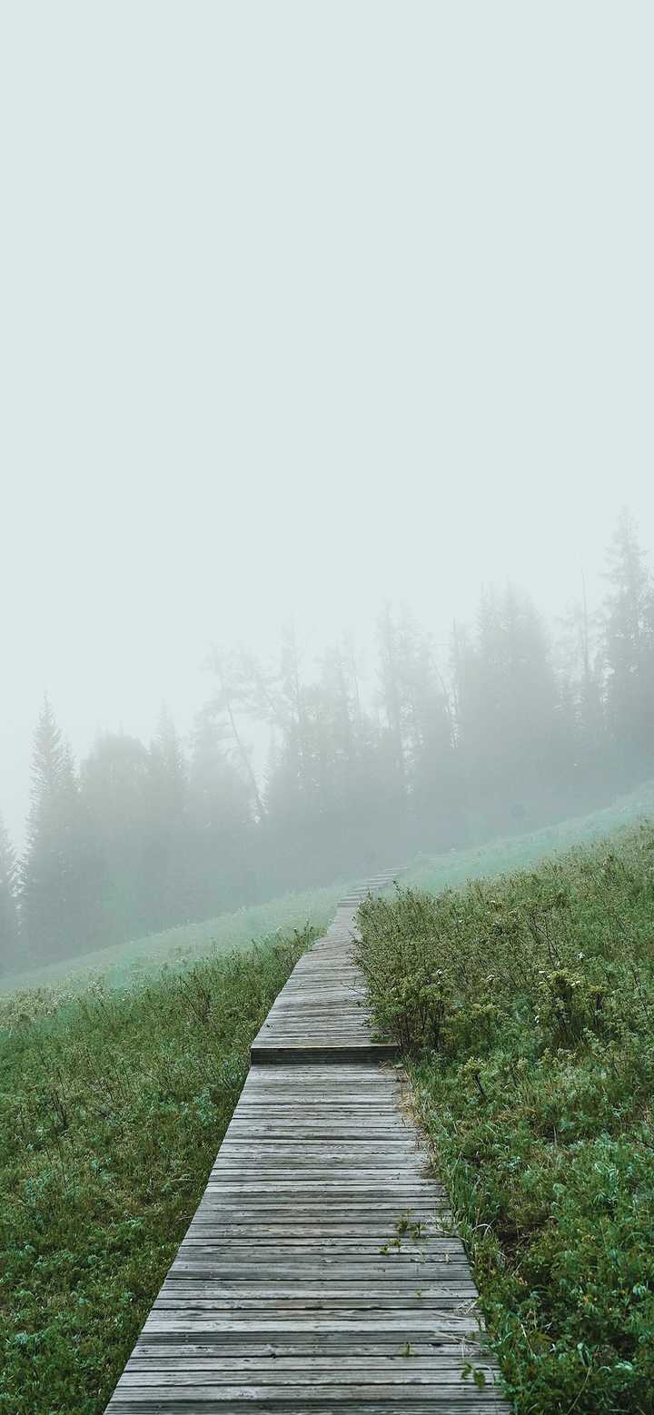 有哪些iphone xr好看的壁纸?