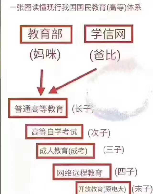 高中辍学4年 现在想自学上大学应该怎么办 知乎