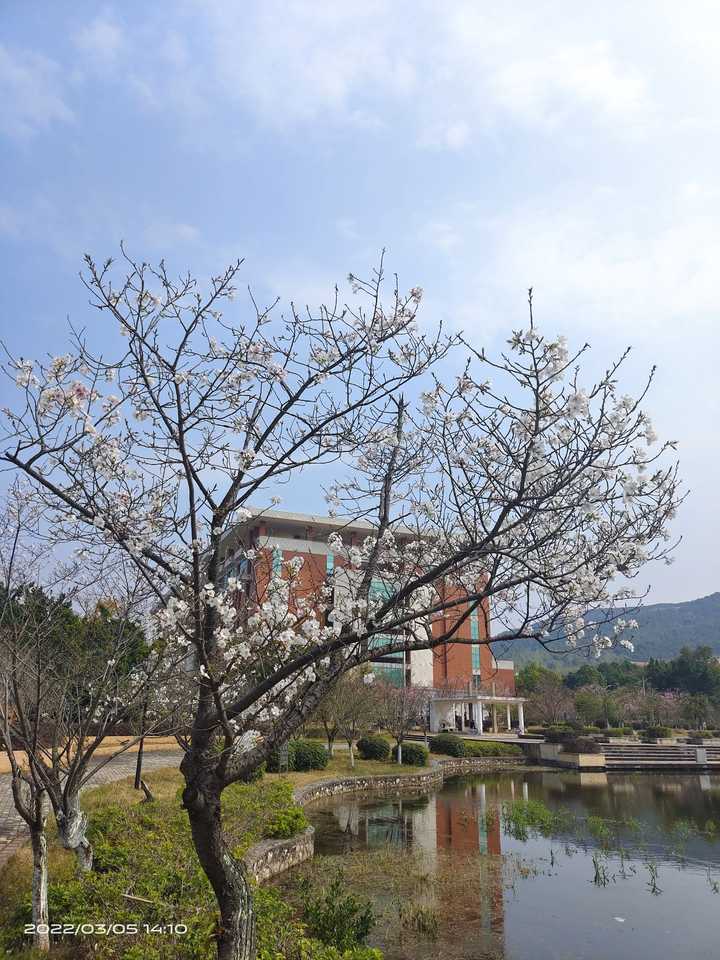 韶关学院宿舍图片贴吧_韶关学院宿舍_韶关学院的宿舍