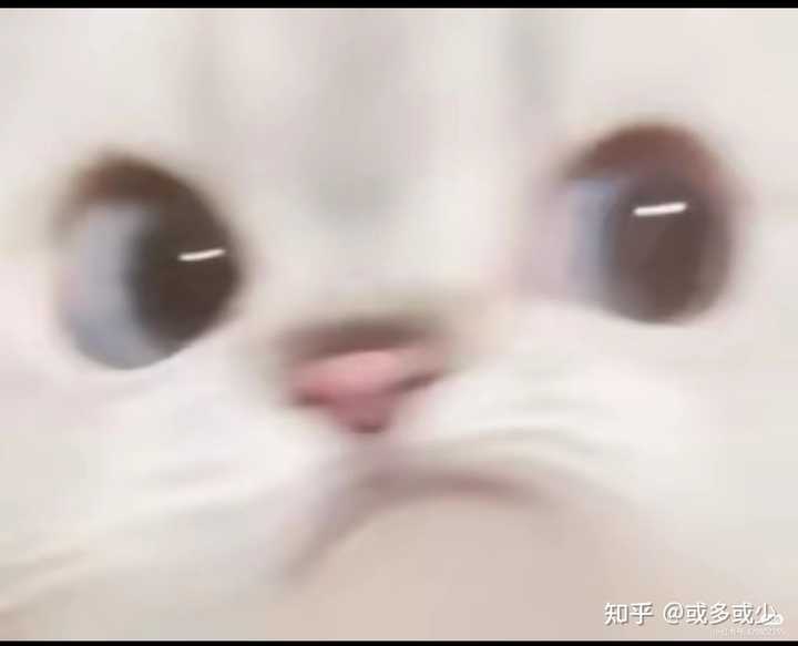 “撇了撇嘴”到底是什么表情?有图吗? - 知乎