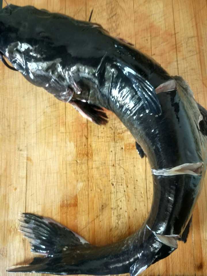 黔鱼两斤半,开膛洗净两面三刀不要切断