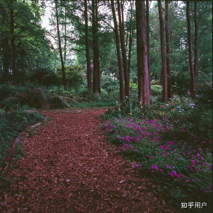 怎样才能拍好反转片？ - 知乎