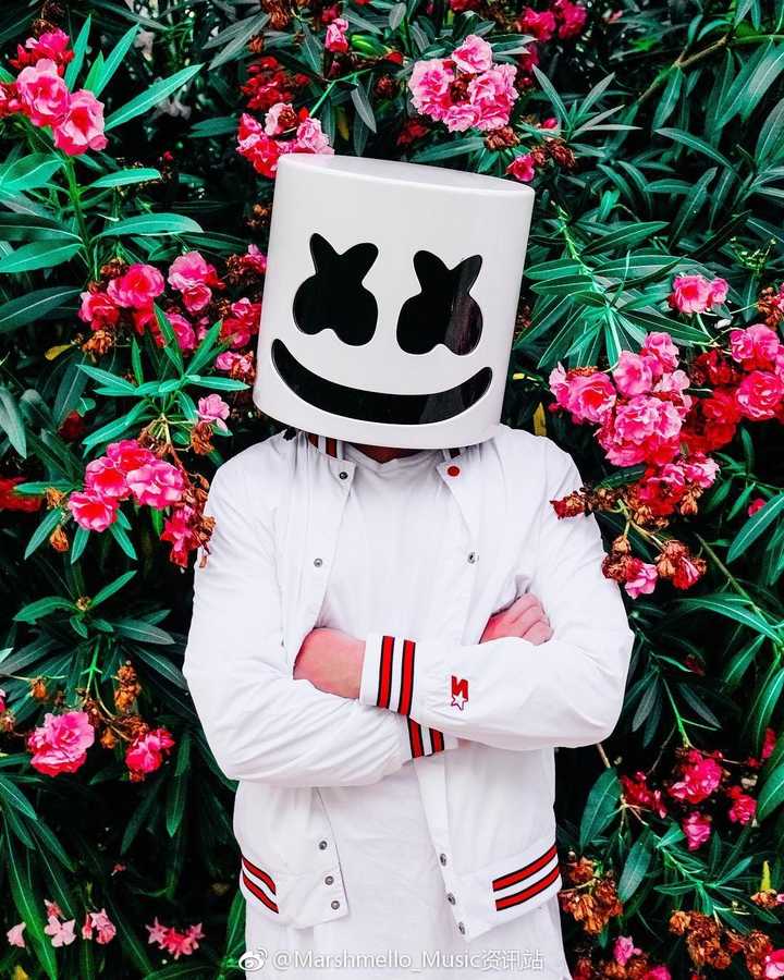 如何评价marshmello