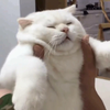 白川
