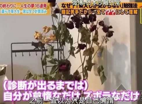 如何评价日本综艺 可以跟着去你家吗 知乎 如何评价日本综艺 可以跟着去你家吗 知乎