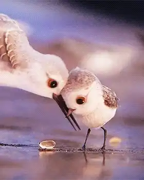 280_350竖版 竖屏gif 动态图 动图