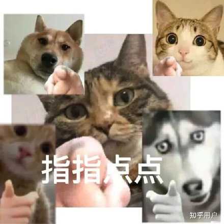谁有二哈指人的表情包? - 知乎