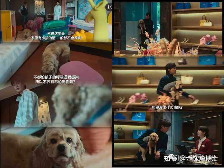 朴成焄在韩剧《黑暗荣耀》中饰演的全在俊一角怎么样? - 知乎