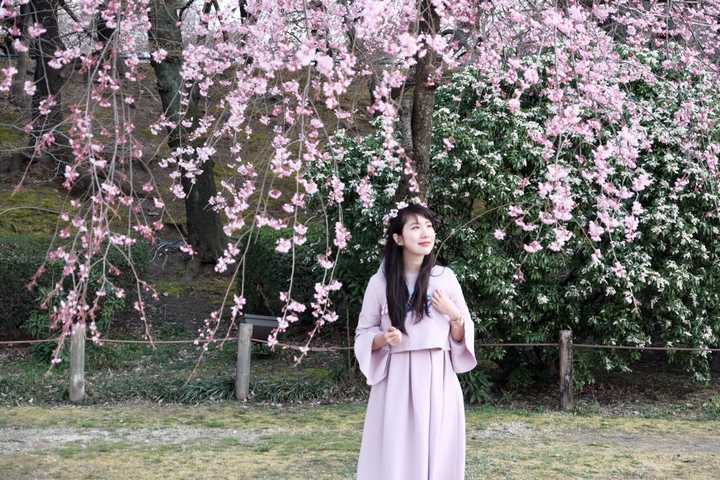 日本樱花季拍照有任何穿搭 地点推荐以及任何tips分享吗 知乎