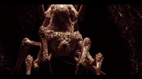 《黑洞表面》则向我们展现了一幅更加可怕的图景!