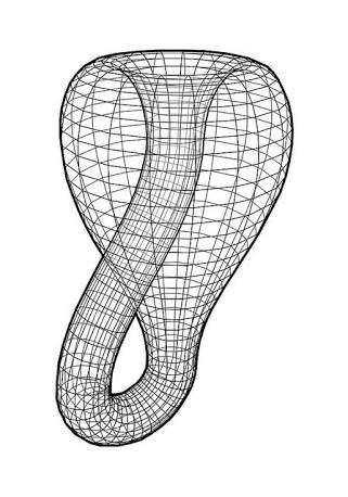 克莱因瓶(klein bottle)