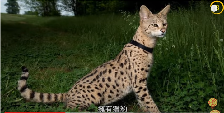 动物有哪些冷知识 觅瑞健康的回答 知乎 动物有哪些冷知识 觅瑞健康的回答 知乎