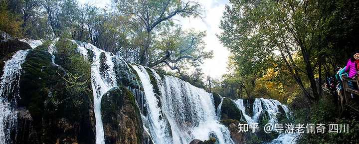 九寨沟五花海拥有怎样绝美的景色？ - 知乎