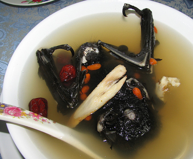 【fruit bat soup 帕劳美食,狐蝠汤.