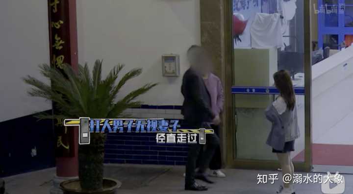 如何评价纪录片 守护解放西 溺水的大象的回答 知乎