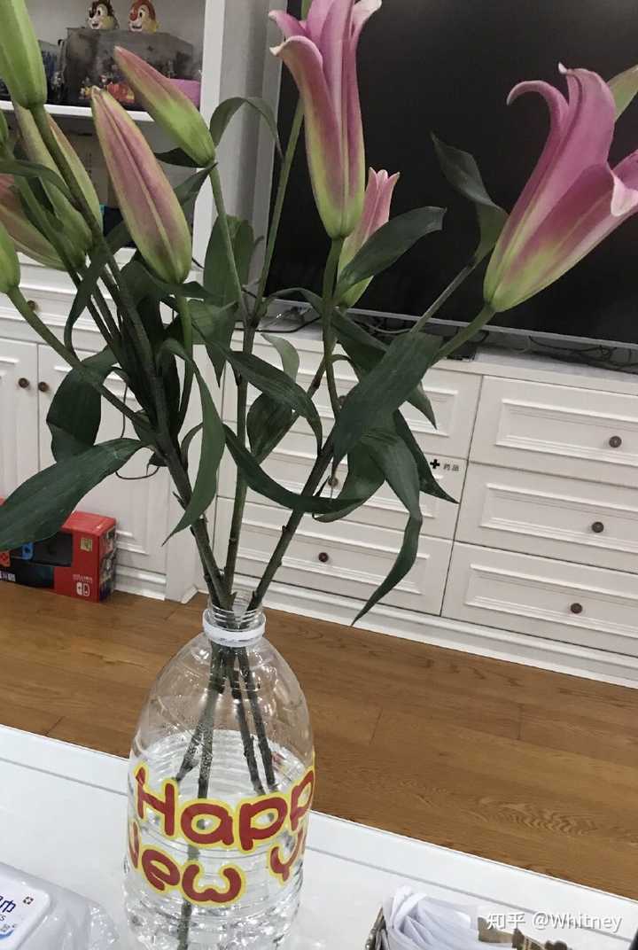 想买一个插百合的花瓶 看了好久 始终没有那种很中意的 你们有什么推荐么 知乎 想买一个插百合的花瓶 看了好久 始终没有那种很中意的 你们有什么推荐么 知乎